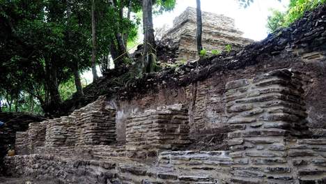 Maya-steden gingen ten onder …